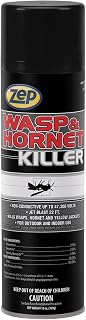 Zep Wasp and Hornet Killer - 13 oz. (Pack of 1)