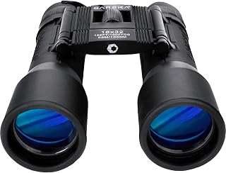 Barska Lucid View Compact Binoculars - Roof Prisms, Fully Coated Optics, Center Focus, Rubber Armor Grip – Lightweight for Hiking, Bird Watching, Travel