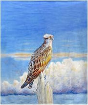 Osprey Storm Fleece Throw