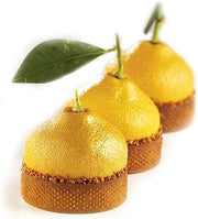 Pavoni Pavoflex Silicone Baking Mold Freezing Mould, "Citron” (Lemon)