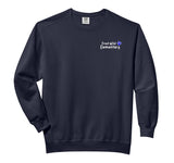 FWE 2024-25 Comfort Colors Adult Sweatshirt by Level Up – Cotton Blend, Black, Model WGJSYWTR83B