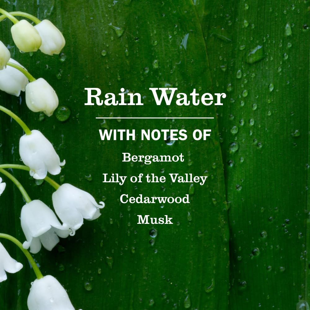 Mrs. MEYER'S Rain Water / 12.5 Fl Oz (Pack of 1) / White Hand Wash