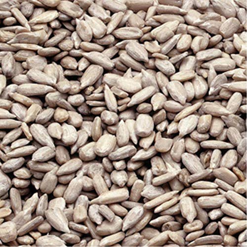 Bakers Select Sunflower Kernels Oil Roasted by Azar Nut Company – 80.0 Ounce (Pack of 1)