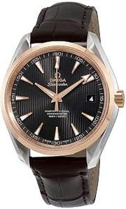 Omega Seamaster Aqua Terra 231.23.42.21.06.003