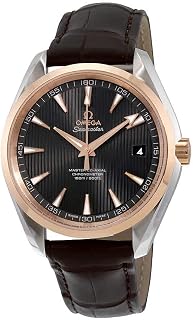 Omega Seamaster Aqua Terra 231.23.42.21.06.003