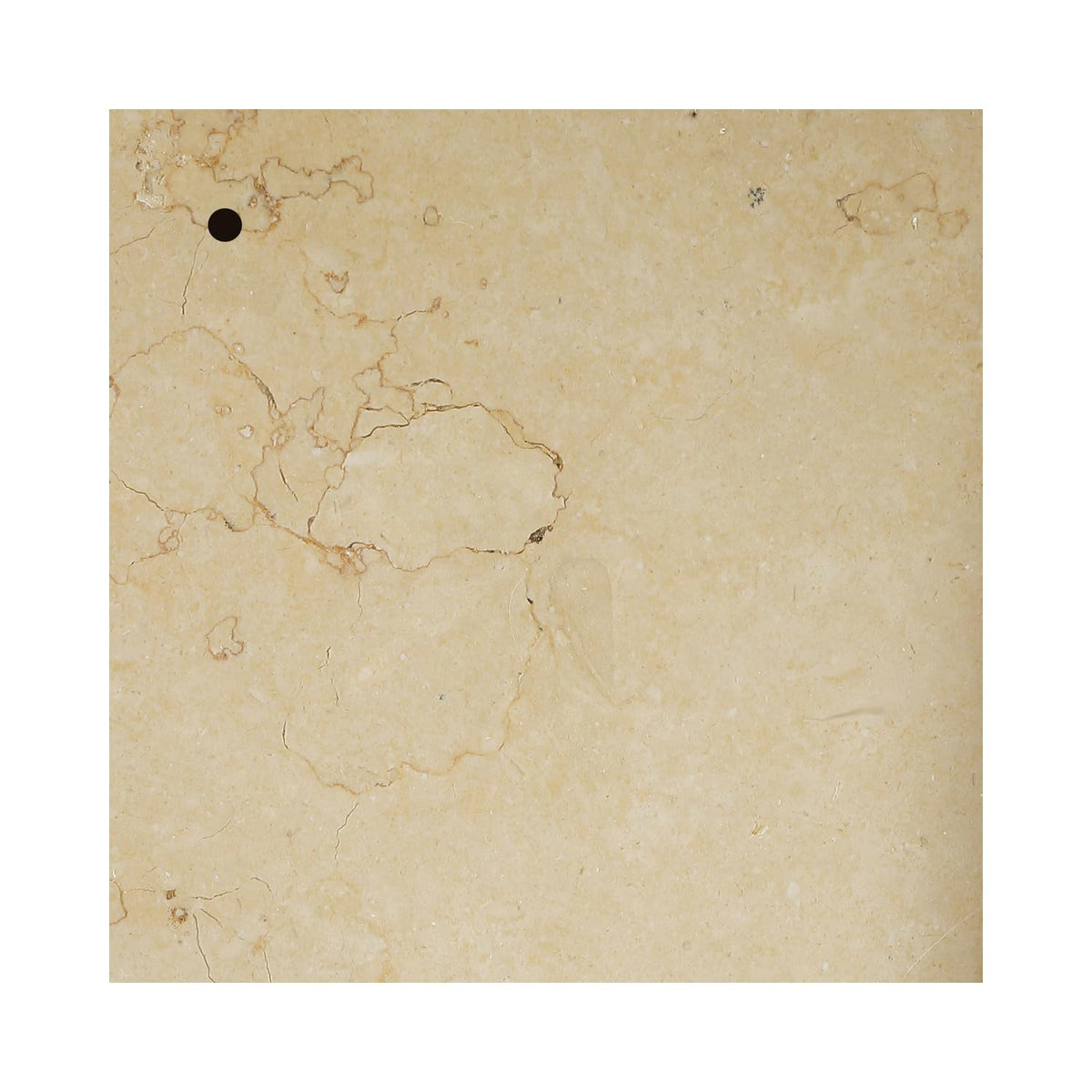Cream Marble Stone Finish Sample by by Elegant Lighting – Various Materials, Cream Marble, Model ST-101