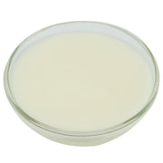Brill Wonder Glaze by CSM Bakery – Commercial Grade