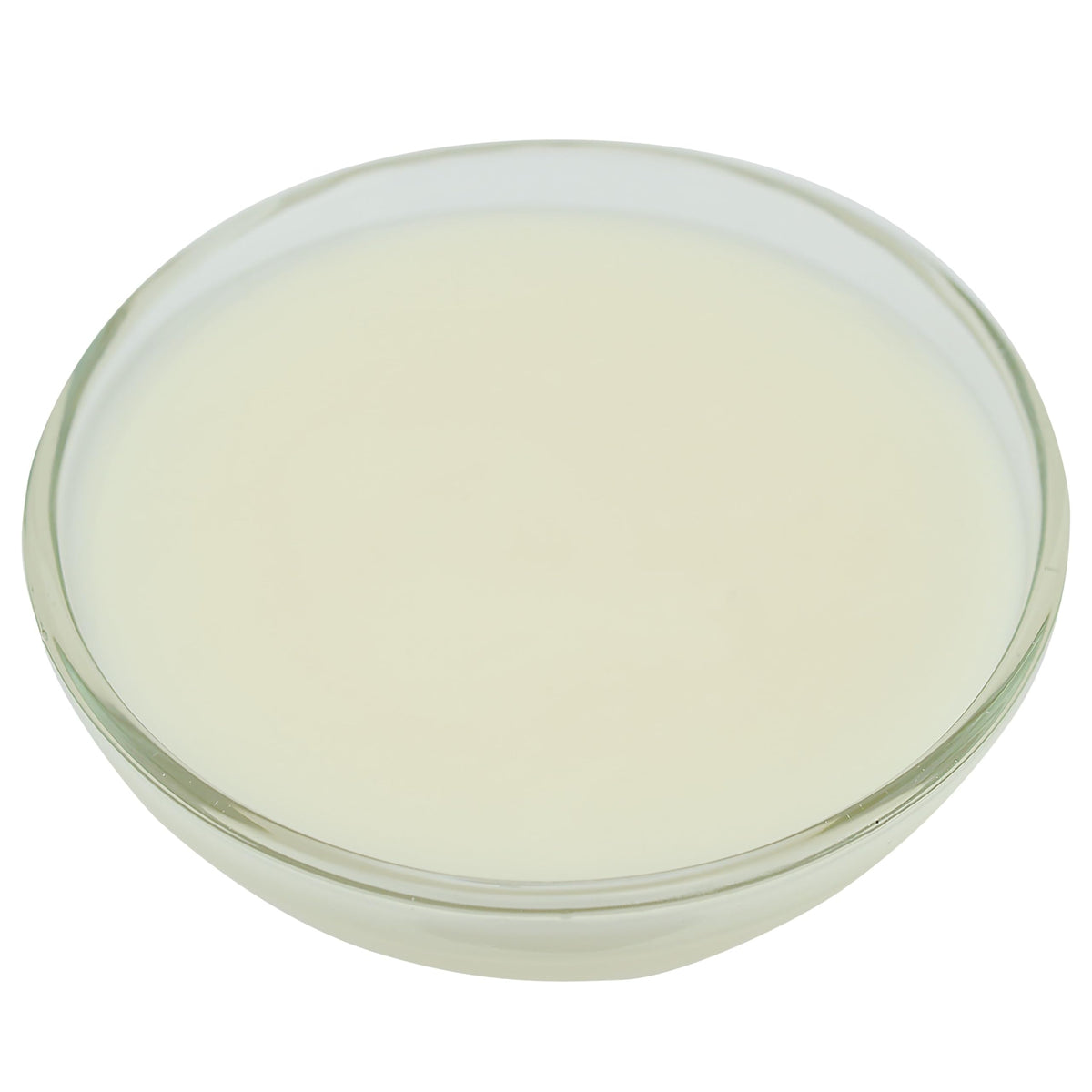 Brill Wonder Glaze by CSM Bakery – Commercial Grade