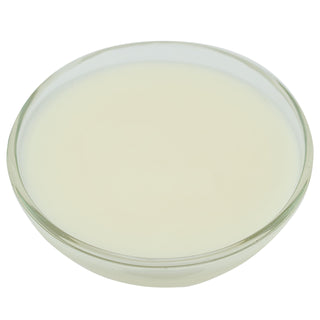 Brill Wonder Glaze by CSM Bakery – Commercial Grade