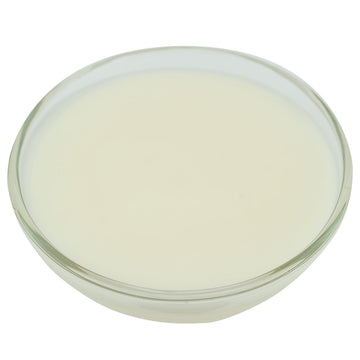 Brill Wonder Glaze by CSM Bakery – Commercial Grade