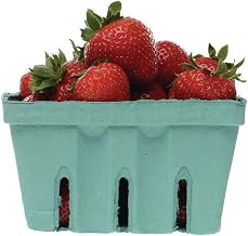 Quart Green Molded Pulp Tray - 5 1/2 Sq. x 3 1/8 H
