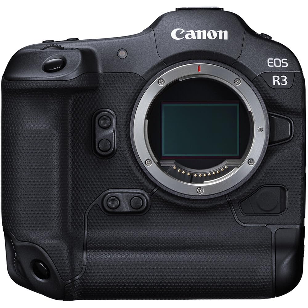 Canon w/ 24-70mm Lens / 1 Mirrorless Cameras