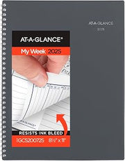 AT-A-GLANCE 2025 Appointment Book Planner, Weekly & Monthly, 8-1/2" x 11", Large, Quarter-Hourly, DayMinder, Gray (GC5200725)