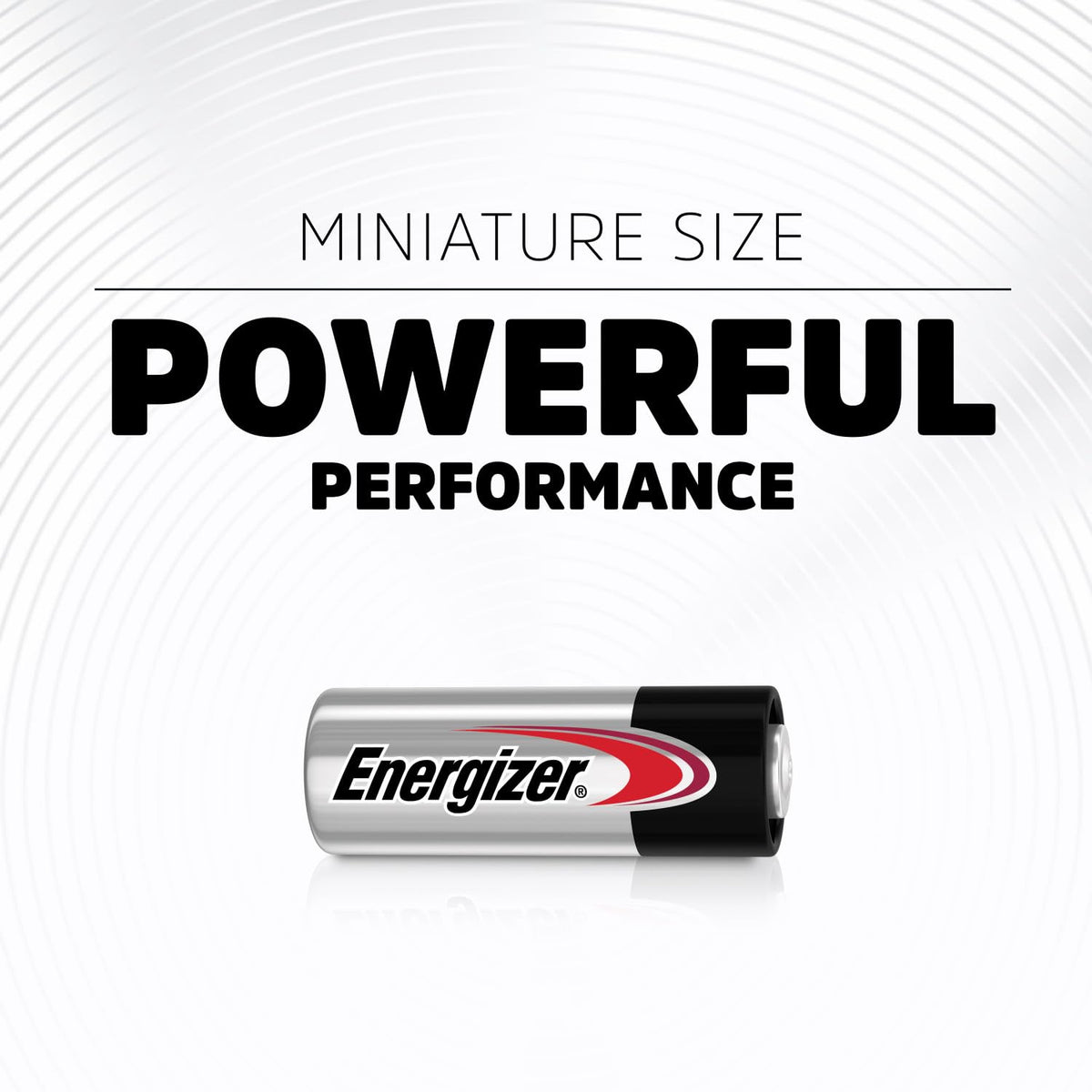 Energizer 2 Count (Pack of 1) / Multicolor / N Household Batteries