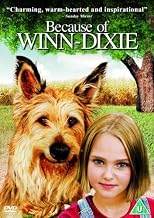 Because Of Winn-Dixie [DVD] by Dave Matthews