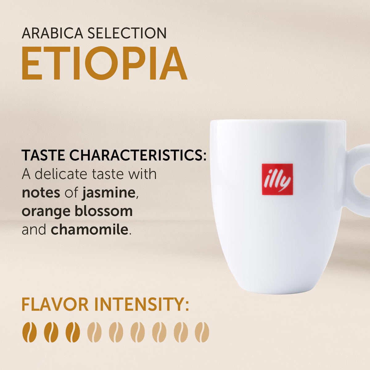 illy Etiopia Single Origin Medium Roast / 8.8 Ounce (Pack of 6) / Silver Roasted Coffee Beans