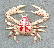 Purple Globe Crab 2 1/4-inch Plastic - F940 B157