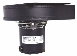 Draft Inducer by Fasco – Model A148