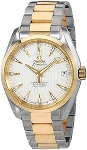 Omega Aqua Terra Master Co-Axial Silver Dial Men's Watch 231.20.39.21.02.002