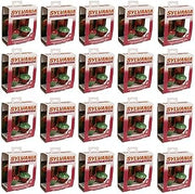 SYLVANIA V10002-88 2 Pack, C7, Traditional Bubble Light Replacement Bulbs - Quantity 2020