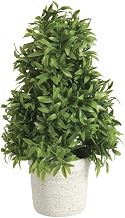Park Hill Collection Garden Floral Mountain Savory Cone Topiary, Medium