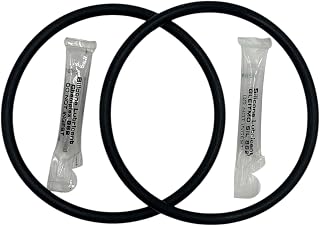 O-Ring Depot 2pk + silcone grease compatible for Everpure EV3071-19 Water Filtration System