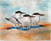 PM1521 Three Terns Place Mat - 14 x 18 in. - Set of 4