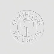 Strathmore 400 Series Vellum Surface Bristol Sheet, 22 x 30 Inches, Pack of 25