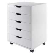 Winsome White / 1 Door, 17 Drawers / Transitional Storage Cabinets
