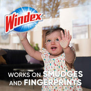 Glass Cleaner Concentrate by Windex – 2.9 Fl Oz (Pack of 2), Pack of 2, Model 316675