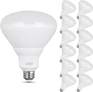 Feit Electric Enhance BR40 LED Light Bulbs, 65W Eq, Daylight, 12 Pack