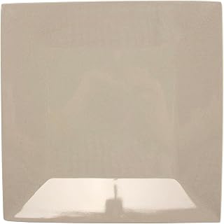 G.E.T. Enterprises BAM-975-N 9.75" Square Coupe Plate, Bamboo Natural (Pack of 12)