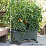 ® Container Gardening System - Green by EarthBox – 29"L x 13.5"W x 11"H, 3 gallons, Plastic, Green, Model 80201