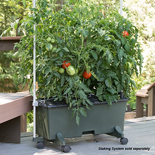 ® Container Gardening System - Green by EarthBox – 29"L x 13.5"W x 11"H, 3 gallons, Plastic, Green, Model 80201