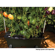 ® Container Gardening System - Green by EarthBox – 29"L x 13.5"W x 11"H, 3 gallons, Plastic, Green, Model 80201