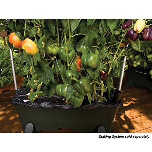 ® Container Gardening System - Green by EarthBox – 29"L x 13.5"W x 11"H, 3 gallons, Plastic, Green, Model 80201
