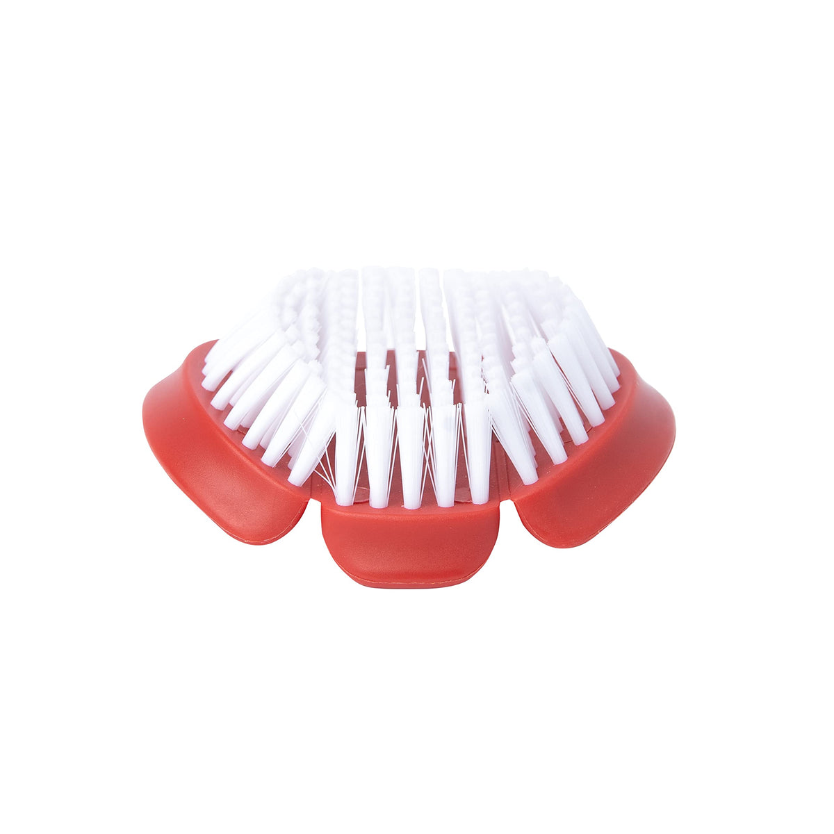 Vegetable Cleaning Brush 2 Pack by Cuisipro – Medium, Plastic, Multicolored, Pack of 2, Model CSP-747315