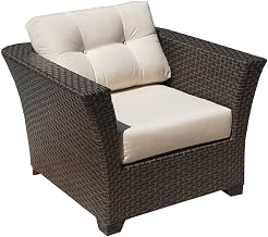 Fiji Lounge Chair with Cushions