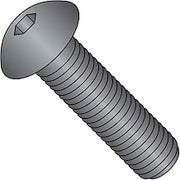 Button Socket Cap Screw, 10-24 x 1/2", Steel, Black Oxide, FT, UNC, 100 Pack