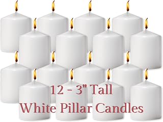 Hollowick Select Wax White Solid Wax Pillar Candle 3" Dia x 3" H (12/case)