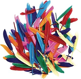 Colorations Rainbow Duck Quill Feathers, 1 oz