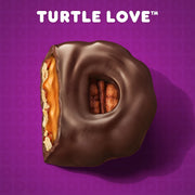 Turtle Love Flavored K Cups by Dunkin' – 10 Count (Pack of 1)