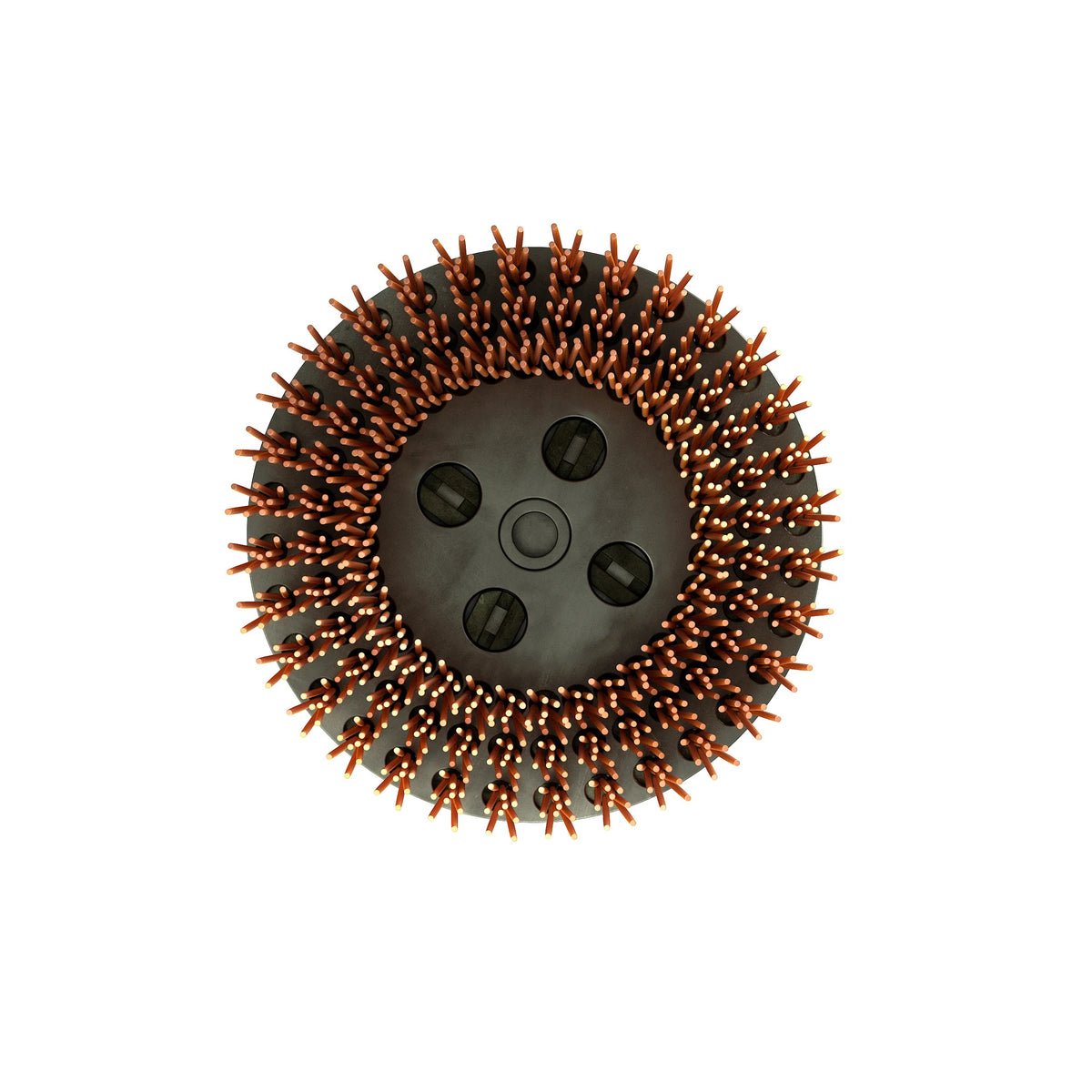 Onfloor Technologies 497037 Nylon Deck Brush, 6 1/2" Diameter, Brown, 3/Pack - photo 2