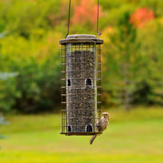 Squirrel Stumper Wild Bird Feeder by Perky-Pet – 6.63W x 5.75D ins., 3 pounds, Metal, Bronze