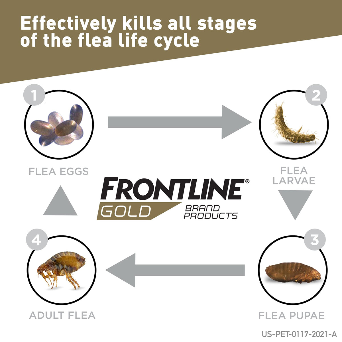 Gold Flea & Tick Treatment for Medium Dogs Up to 23 to 44 lbs. by Frontline – 3 Count (Pack of 1), Blue Box, Pack of 3, Model 00872