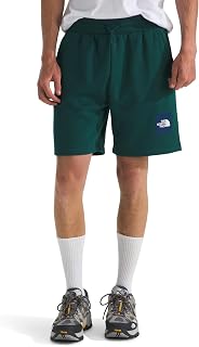 The North Face Men's Box NSE Regular Shorts