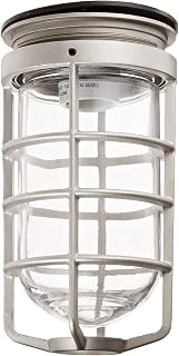 RAB Lighting VC100DG Vaporproof VC Ceiling Mount with Glass Globe and Cast Guard, A19 Type, Aluminum, 100W Power, Natural
