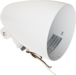 RAB Lighting HB101W Bullet Shape Par Floodlight, PAR38 Type, Aluminum, 150W Power, White