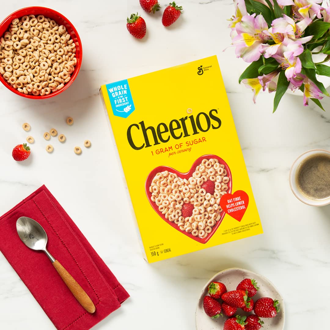 General Mills Cereal by Cheerios – 12.35 Ounce (Pack of 1)