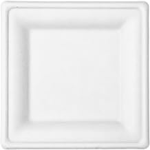 Responsible Products 100% Compostable 6 Inch Square Paper Plates White (1000 Pack), Disposable Paper Plates Heavy Duty, Biodegradable & Eco-Friendly, Made from Sugarcane ï¼† Bamboo Fibers